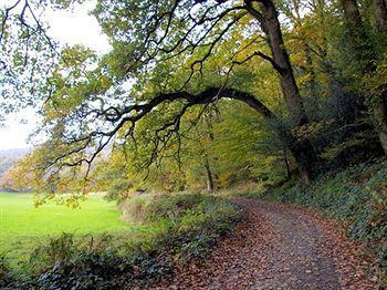 Bridge House Hotel Gunnislake Luaran gambar
